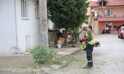 Serdivan’da Yaz Bakımı Devam Ediyor