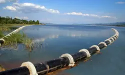 Sapanca Gölü Sıcaklardan Nasıl Etkilendi?