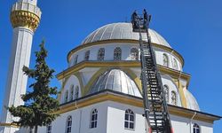 Balıkesir'de yaralı bulunan leylek tedavi ediliyor