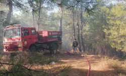 Çanakkale'nin Ayvacık ilçesindeki orman yangınına müdahale ediliyor