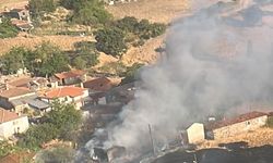 Çanakkale'nin Bayramiç ilçesinde çıkan arazi yangını kontrol altına alındı