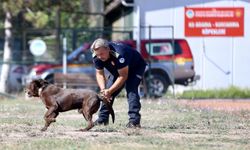 Depremzede itfaiyeci, kendisini enkazdan çıkaran arama kurtarma köpekleriyle hayat kurtarıyor