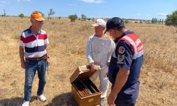 Edirne'de jandarma bilgilendirme çalışmalarını sürdürüyor