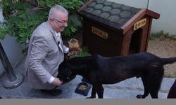 Edremit Belediye Başkanı Ertaş, bir köpeği sahiplendi