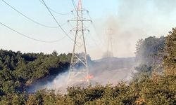 Sakarya'da ormanlık alanda çıkan yangın kontrol altına alındı