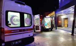 Sinop'ta ağaca çarpan otomobildeki 2 kişi öldü, 2 kişi yaralandı