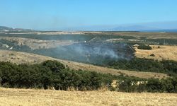 Tekirdağ'da makilik alanda çıkan yangın söndürüldü