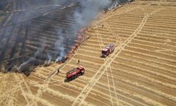 Tekirdağ'da temmuzda çıkan yangınlarda 19 bin 676 dekar tarım arazisi zarar gördü