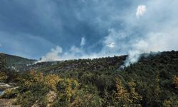 Tokat'ta ormanlık alanda çıkan yangına müdahale ediliyor