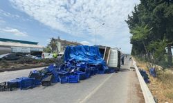 Yalova'da tırla kamyonetin çarpışması sonucu 2 kişi yaralandı