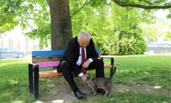 Başkan Şadi Özdemir'den sokak hayvanları açıklaması