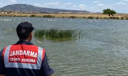 Edirne Jandarması Gala Gölü'nü koruyor