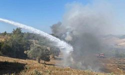 Adana’da anız yangını, orman yangınına dönüştü