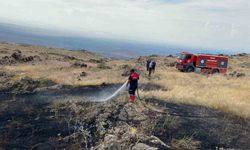 Ağrı Dağı eteklerinde çıkan örtü yangını söndürüldü