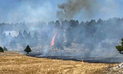 Anız yangını ormana sıçradı, ekipler müdahale ediyor