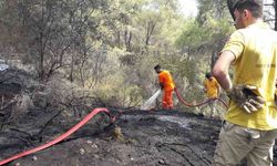 Antalya Kemer’de çıkan orman yangını kontrol altına alındı