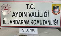 Aydın jandarmasından uyuşturucu operasyonu: 1 tutuklama