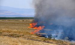 Bulanık’ta tüm uyarılara rağmen çiftçiler anız yakmaya devam ediyor