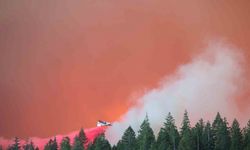 California tarihinin en büyük 4. orman yangını: 400 bin dönümden fazla alan kül oldu