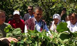 CHP Lideri Özel’den ’fındık fiyatı’ eleştirisi: “Hızla revize edilmeli"