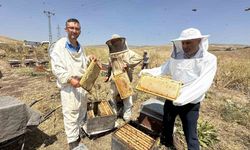 Cilo Dağı’nın eteklerinde bal bereketi: Kovan kovan bal sağımı başladı