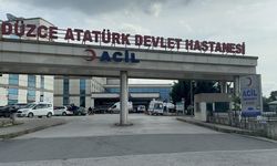 Düzce Atatürk Devlet Hastanesi ’Bebek ve anne dostu’