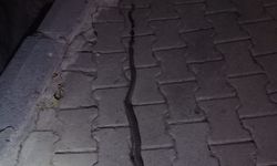 Elazığ’da lavaboya giren 2 metrelik yılan korkuttu