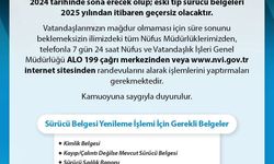 Eski tip sürücü belgesi uyarısı: Son tarih 31 Aralık