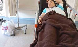 Güvende Yaylası’nda yorgun merminin isabet ettiği kadın yaralandı