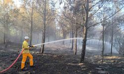 Hatay’da çıkan orman yangını 15. saatte kontrol altına alındı