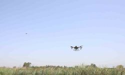 Hatay’da sinek ve haşerelere karşı 229 hektar alan dron ile ilaçlandı
