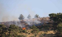 Hatay’daki orman yangınına havadan helikopterler ve uçakla müdahale ediliyor