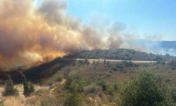 İzmir’de ormana sirayet eden yangına havadan ve karadan müdahale