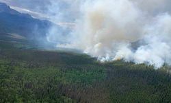 Kanada’nın Alberta eyaletindeki orman yangınında 1 kişi öldü