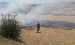 Kastamonu’da çıkan arazi yangınında 2 dekar alan zarar gördü