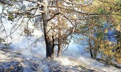 Kastamonu’da çıkan orman yangını büyümeden söndürüldü