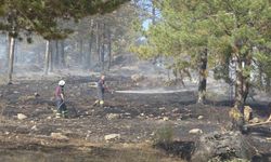 Kastamonu’da çıkan orman yangını söndürüldü