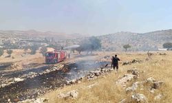 Mardin’de ormanlık alanda çıkan yangın söndürüldü