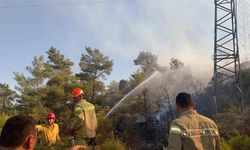 Muğla’daki orman yangını büyümeden kontrol altına alındı