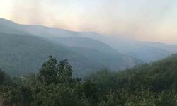 Orman yangınına müdahale eden operatör hayatını kaybetti