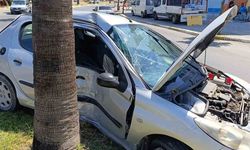 Otomobil refüjdeki palmiyeye çarptı, araçtaki yaralıların ilk yardımına vatandaşlar koştu