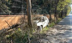 Otomobilin çarptığı ağaç üzerine devrildi, yangın çıktı: 1 yaralı