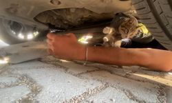 Otomobilin motoruna giren yavru kedi kurtarıldı