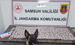 Polis ve jandarma suçluların ensesinde