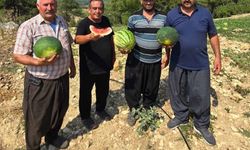 Tarsus’ta yerli tohuma ve üretime dönüş için çağrı