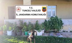 Tunceli’de uyuşturucu operasyonu: 2 tutuklama