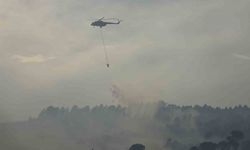 Yalova’daki orman yangını kontrol altına alındı