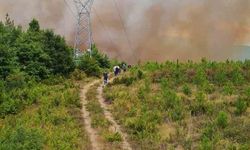 Yalova’daki orman yangınına havadan ve karadan müdahale sürüyor