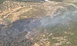 Yunusemre’de orman yangını kontrol altında