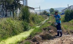 Büyükşehir’in müdahale timi her köşe başında haşereyle mücadelede